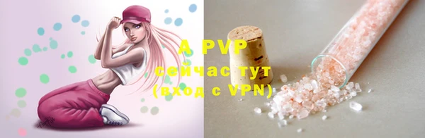 тгк Богородицк