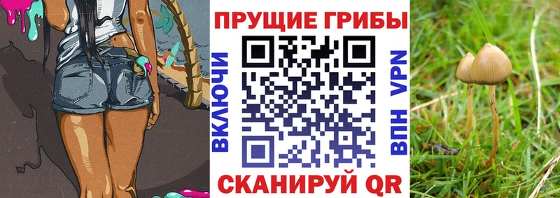 наркотики  Городовиковск  Галлюциногенные грибы MAGIC MUSHROOMS 